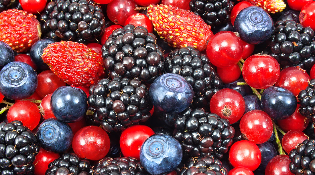 7 Wild Berries Essential For Survival