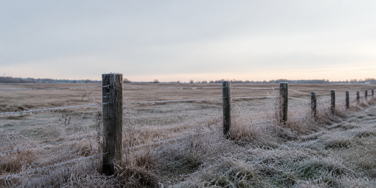 Fall Prep Checklist: 10 Things To Handle Before The First Freeze
