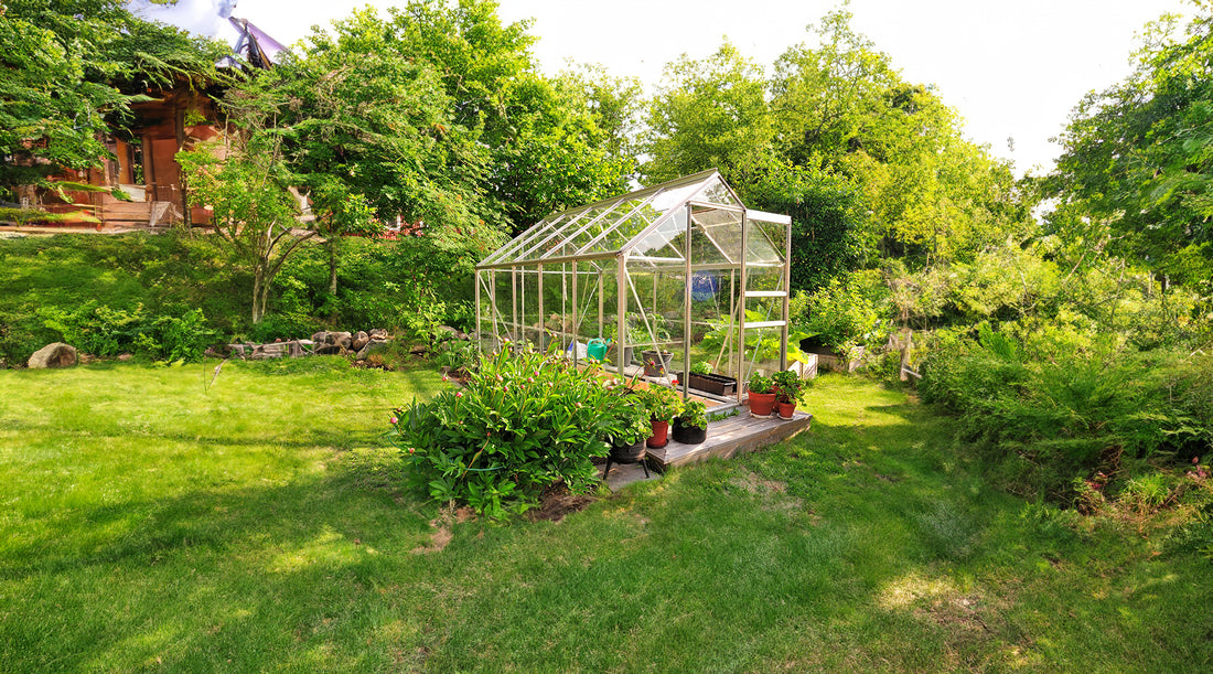 Build a DIY Greenhouse for Dirt Cheap