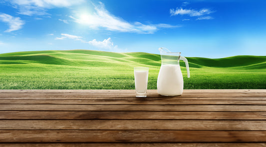 8 Survival Uses for Powdered Milk