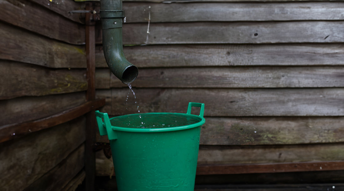 How Preppers Can Harvest Rainwater for Survival