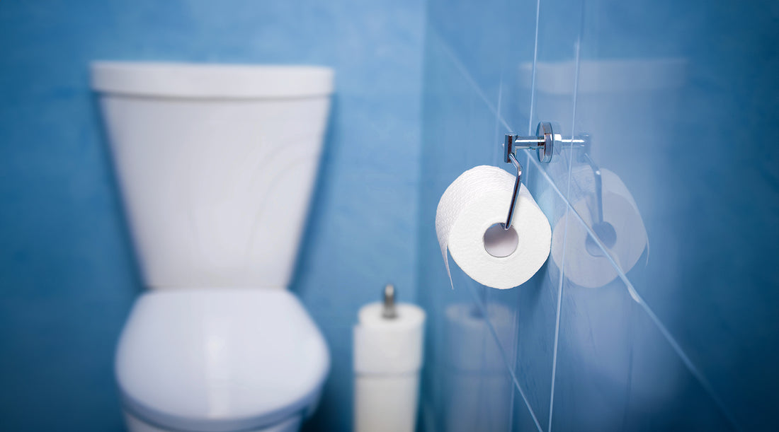 9 Toilet Paper Alternatives When SHTF