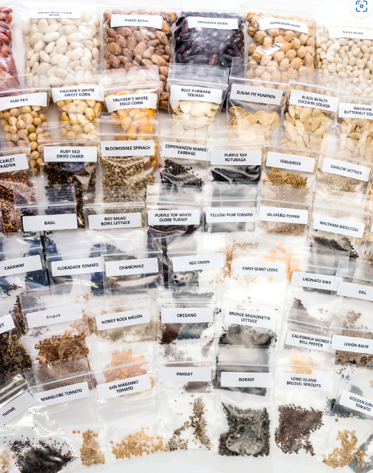 Survival Seed Vault | 50,000+ Heirloom Seeds
